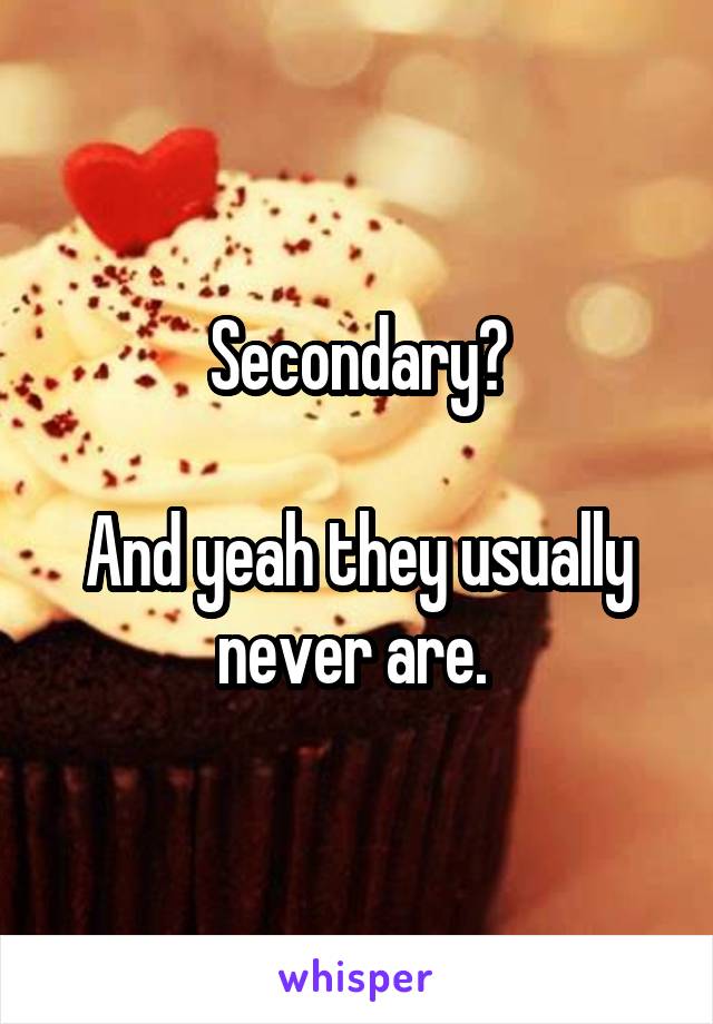 Secondary?

And yeah they usually never are. 