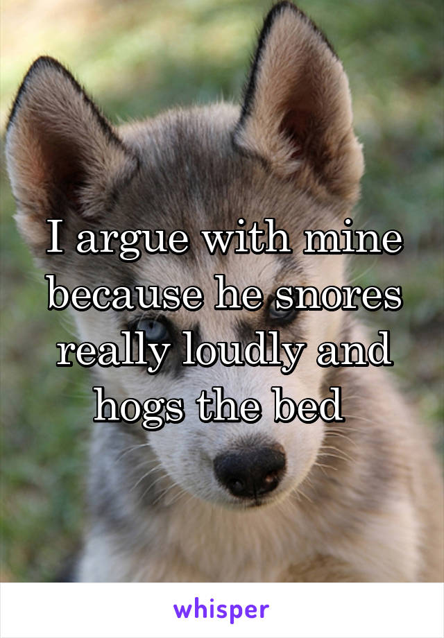 I argue with mine because he snores really loudly and hogs the bed 