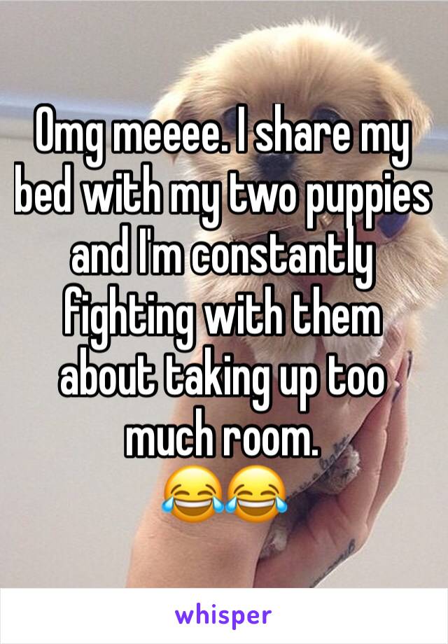 Omg meeee. I share my bed with my two puppies and I'm constantly fighting with them about taking up too much room. 
😂😂