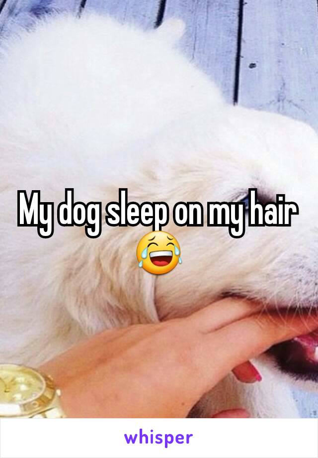 My dog sleep on my hair 😂