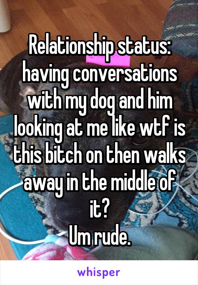 Relationship status: having conversations with my dog and him looking at me like wtf is this bitch on then walks away in the middle of it?
Um rude.