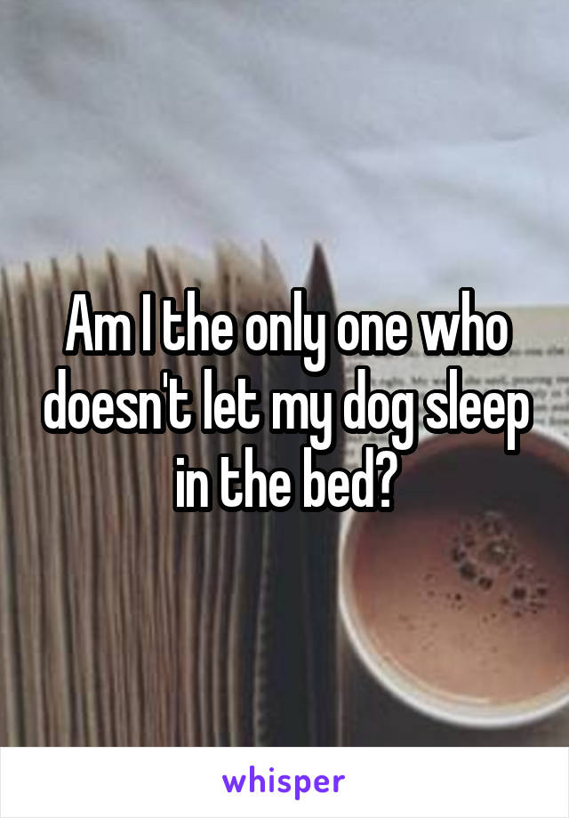 Am I the only one who doesn't let my dog sleep in the bed?
