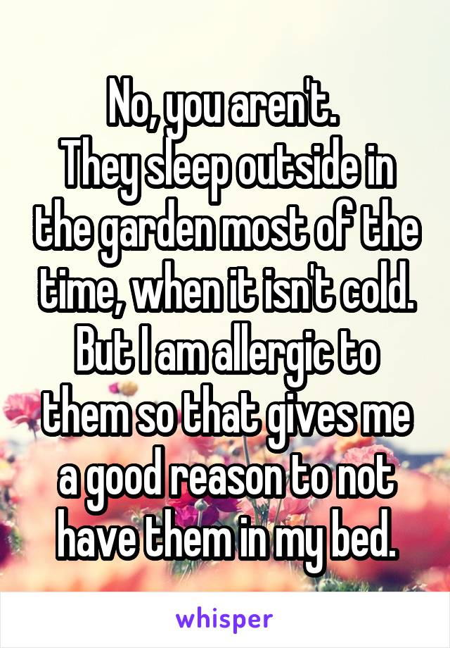 No, you aren't. 
They sleep outside in the garden most of the time, when it isn't cold.
But I am allergic to them so that gives me a good reason to not have them in my bed.