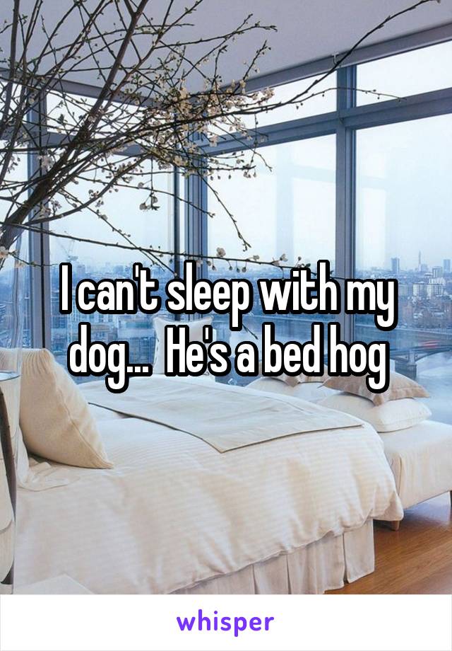 I can't sleep with my dog...  He's a bed hog