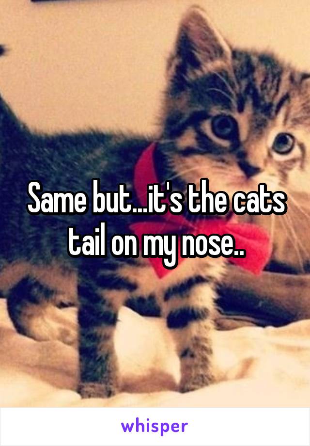 Same but...it's the cats tail on my nose..
