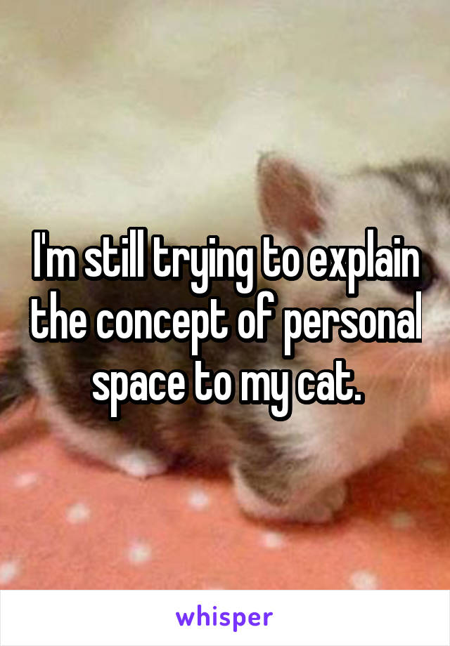 I'm still trying to explain the concept of personal space to my cat.
