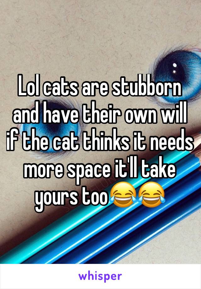 Lol cats are stubborn and have their own will if the cat thinks it needs more space it'll take yours too😂😂