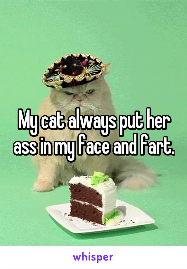 My cat always put her ass in my face and fart.