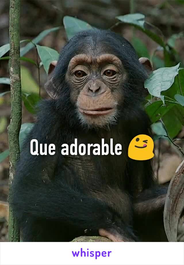 Que adorable 😋