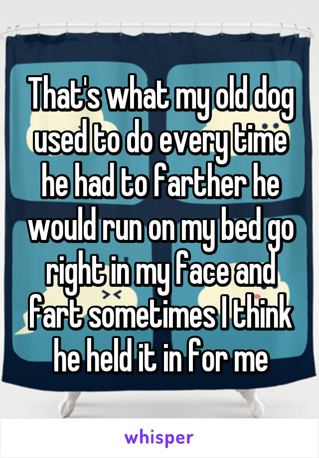 That's what my old dog used to do every time he had to farther he would run on my bed go right in my face and fart sometimes I think he held it in for me