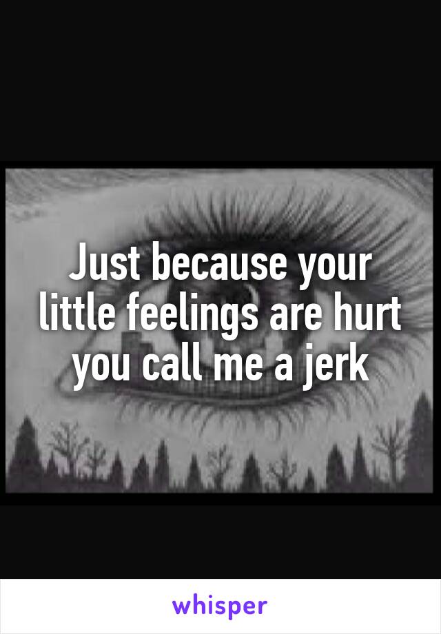 Just because your little feelings are hurt you call me a jerk