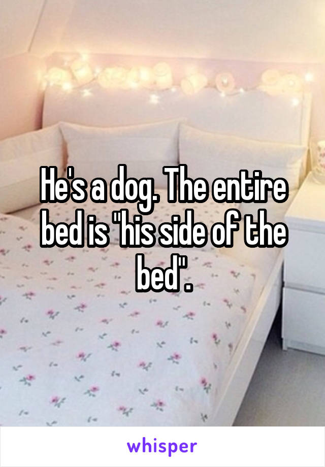 He's a dog. The entire bed is "his side of the bed".
