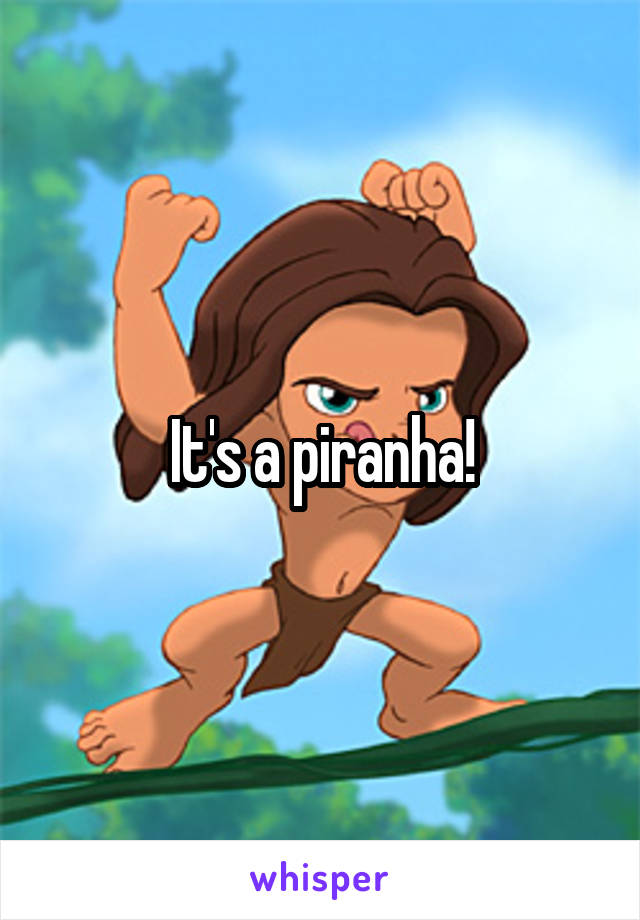 It's a piranha!