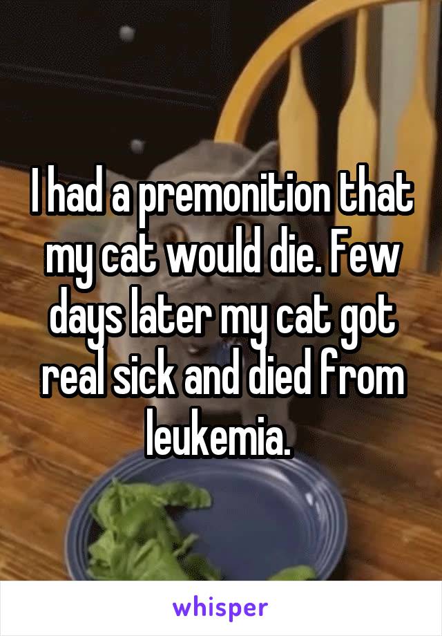 I had a premonition that my cat would die. Few days later my cat got real sick and died from leukemia. 