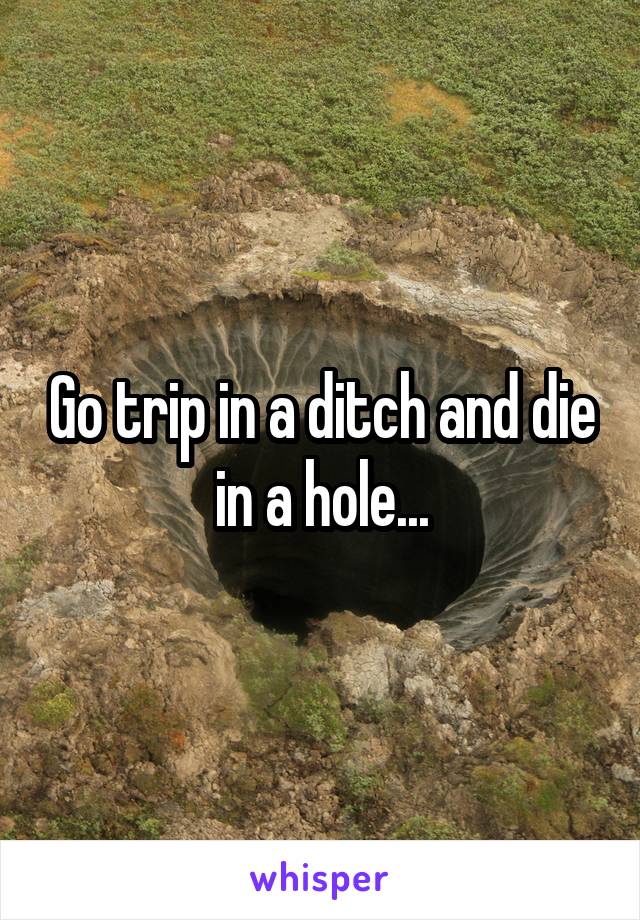Go trip in a ditch and die in a hole...