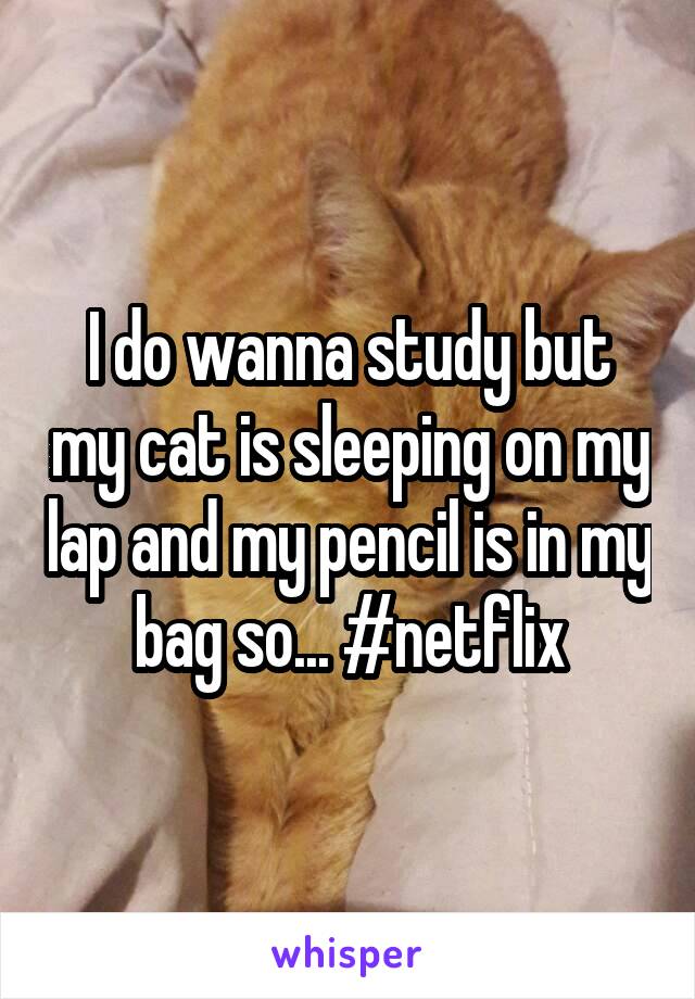 I do wanna study but my cat is sleeping on my lap and my pencil is in my bag so... #netflix