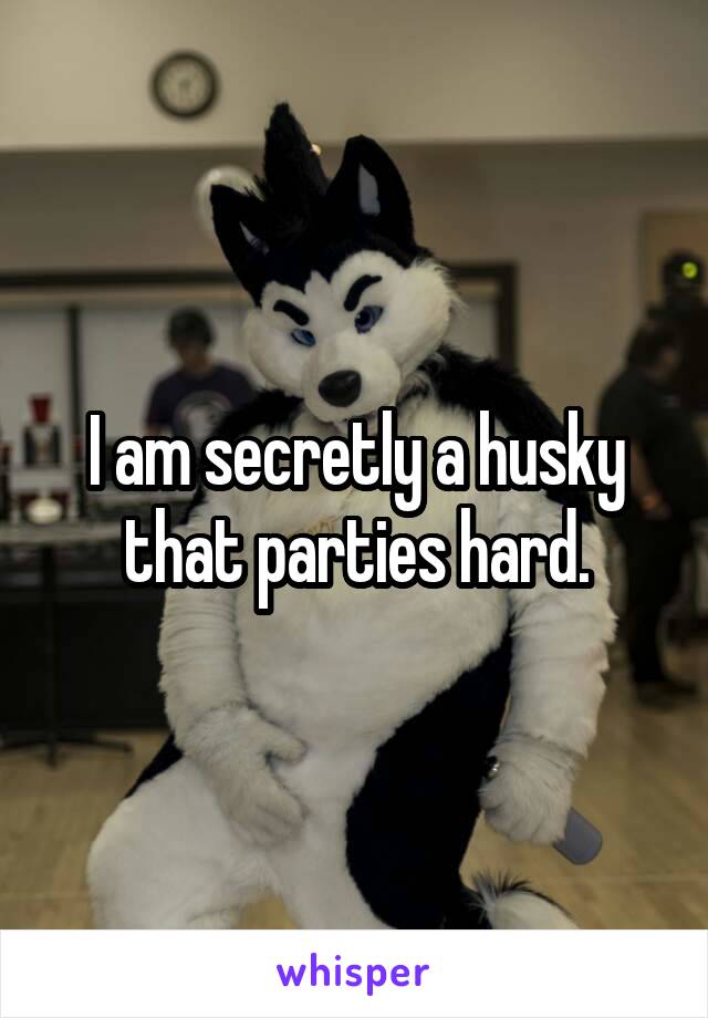 I am secretly a husky that parties hard.