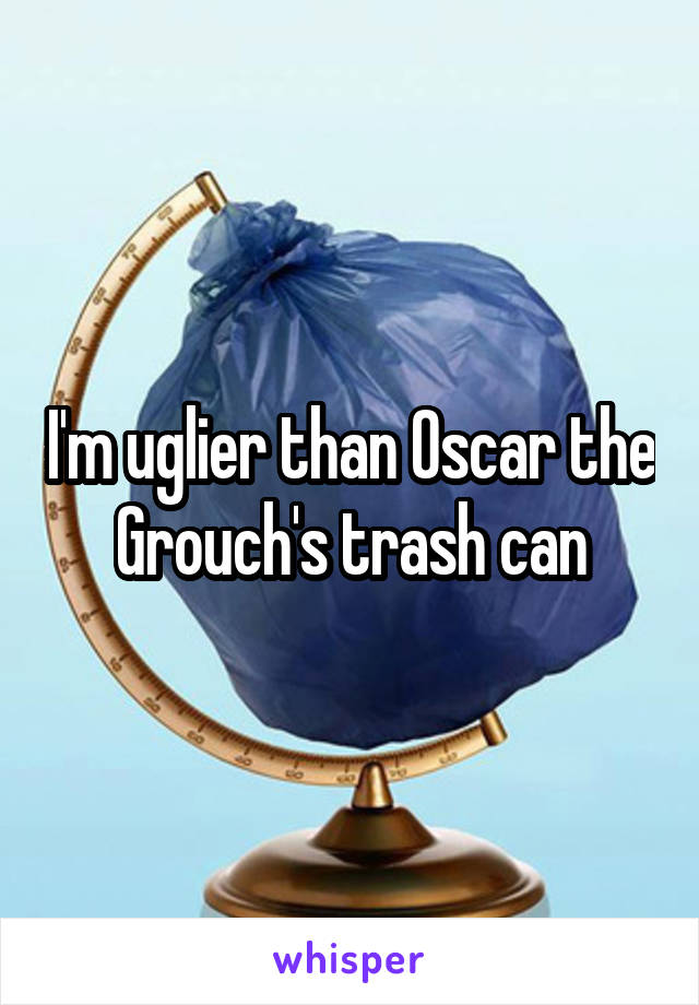 I'm uglier than Oscar the Grouch's trash can