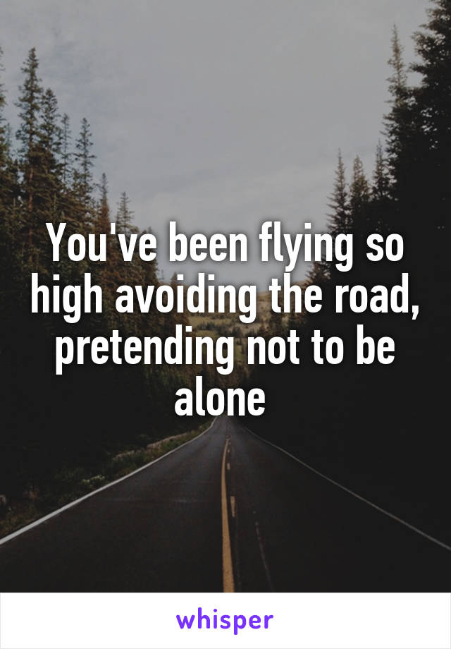 You've been flying so high avoiding the road, pretending not to be alone 