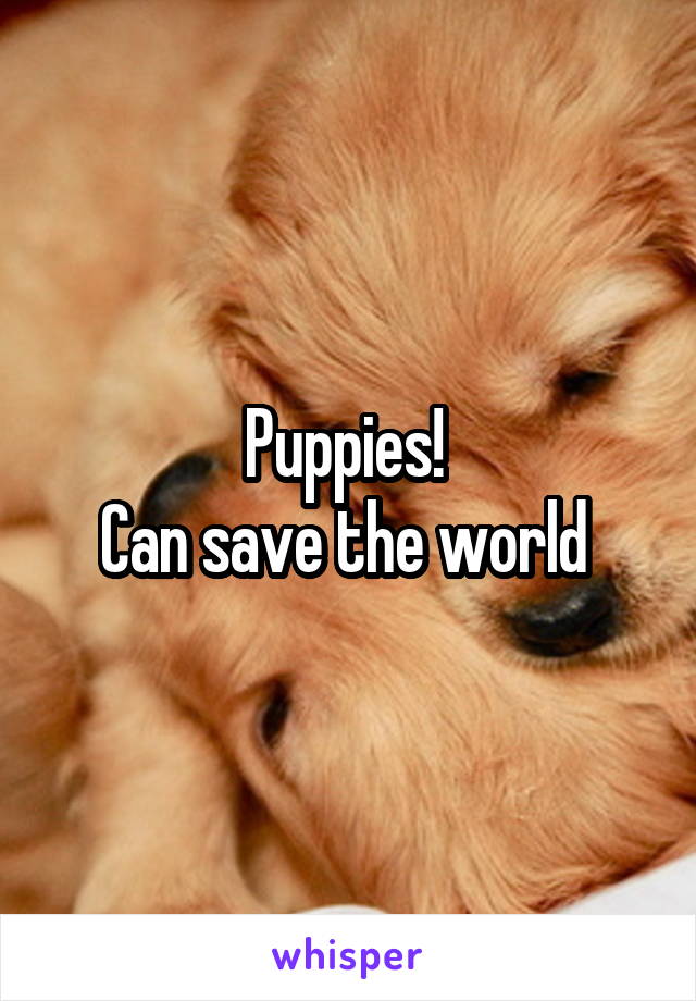 Puppies! 
Can save the world 