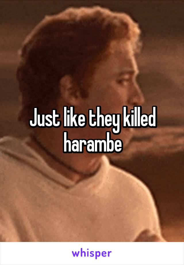 Just like they killed harambe