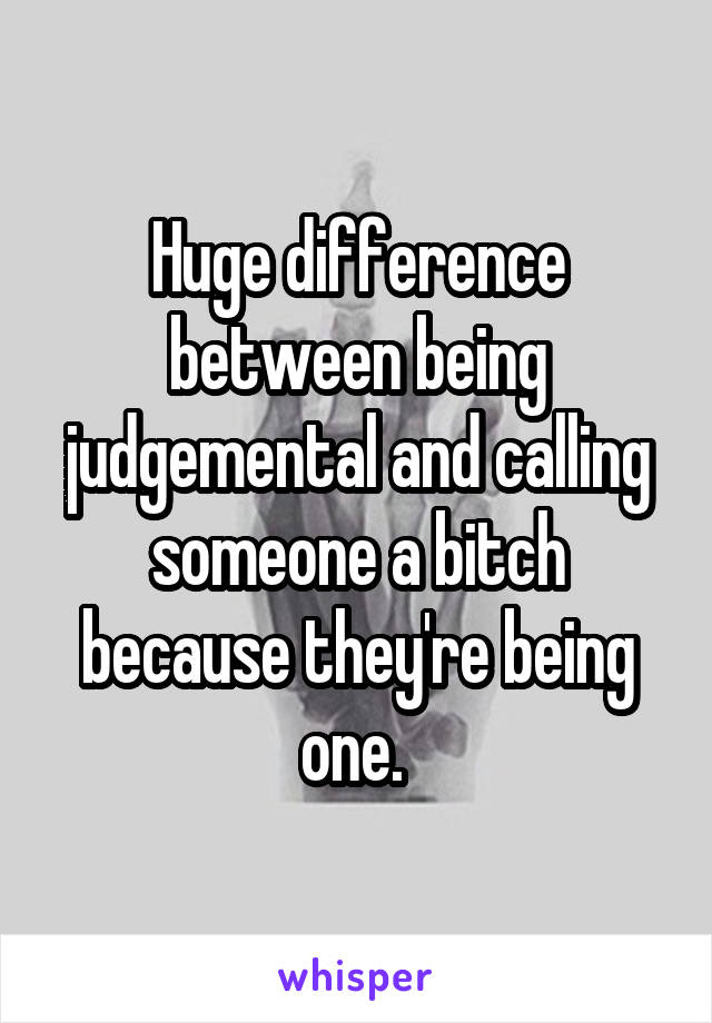 Huge difference between being judgemental and calling someone a bitch because they're being one. 