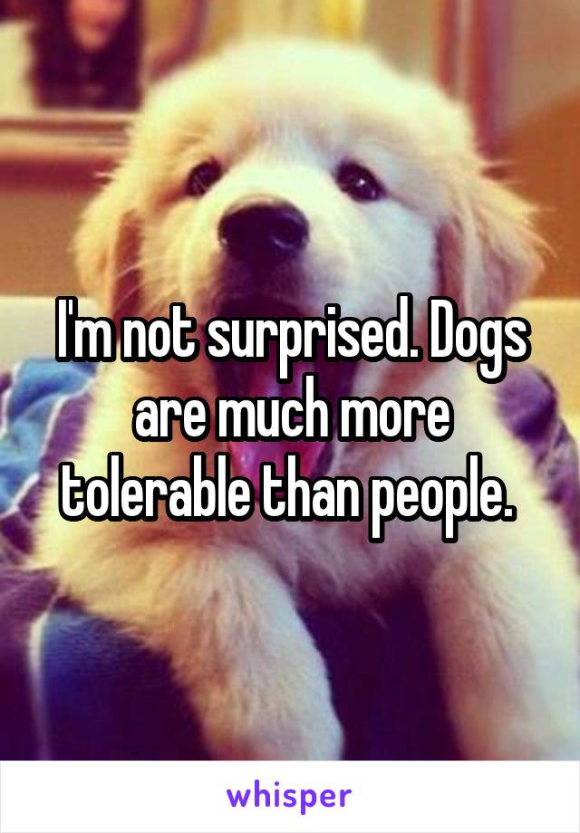 I'm not surprised. Dogs are much more tolerable than people. 