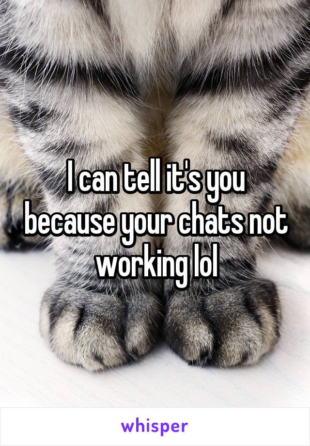 I can tell it's you because your chats not working lol