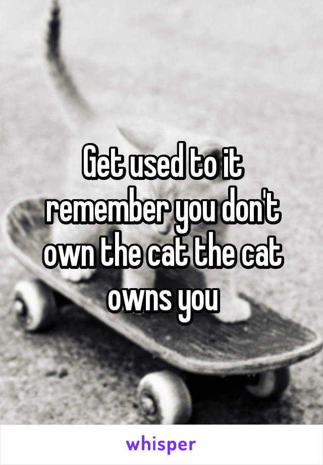 Get used to it remember you don't own the cat the cat owns you