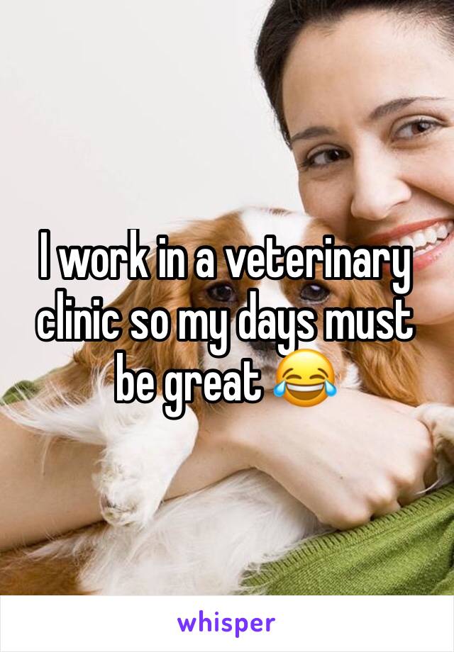 I work in a veterinary clinic so my days must be great 😂