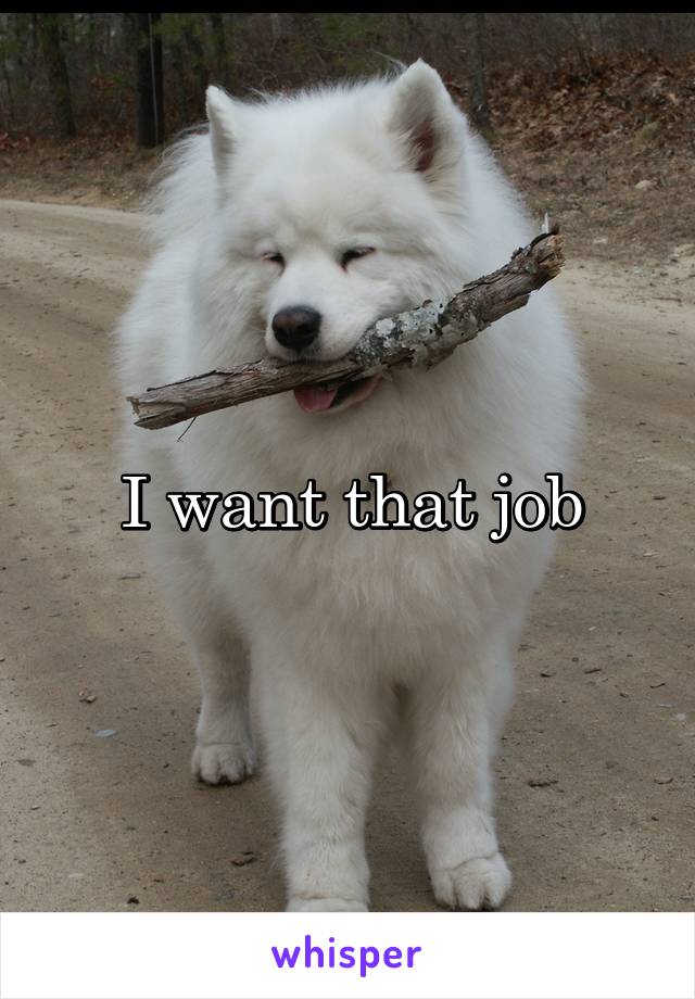I want that job