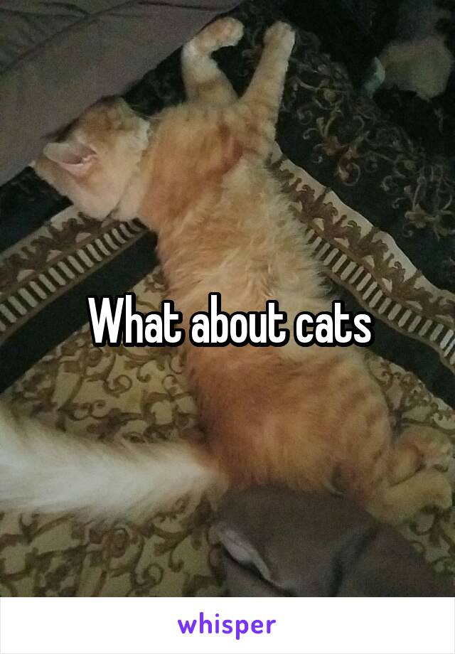 What about cats