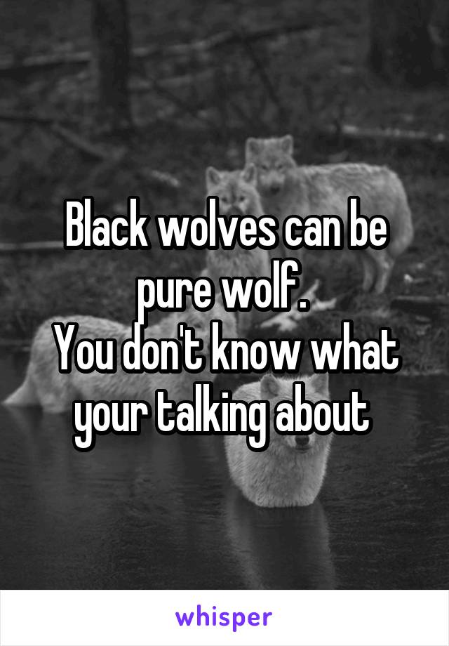 Black wolves can be pure wolf. 
You don't know what your talking about 