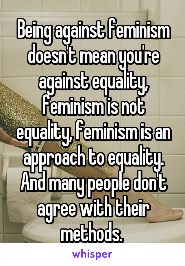 Being against feminism doesn't mean you're against equality, feminism is not equality, feminism is an approach to equality. And many people don't agree with their methods. 