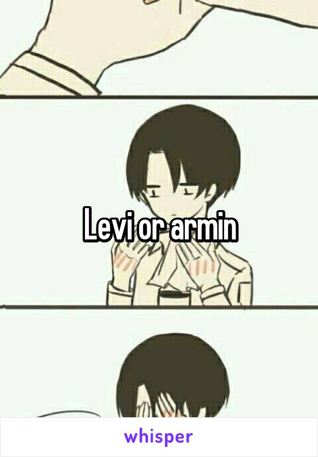 Levi or armin