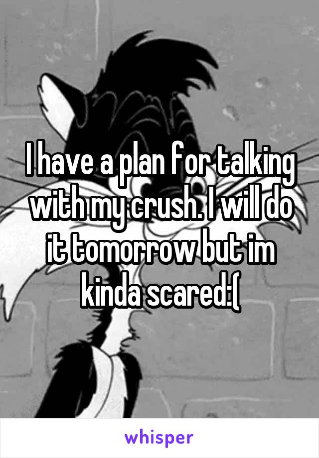I have a plan for talking with my crush. I will do it tomorrow but im kinda scared:(