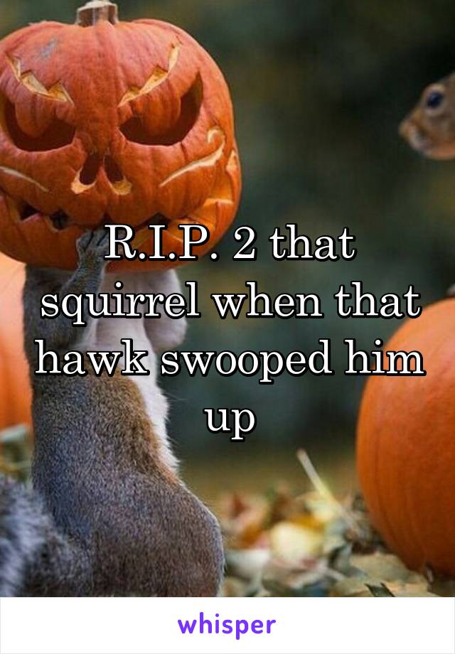 R.I.P. 2 that squirrel when that hawk swooped him up
