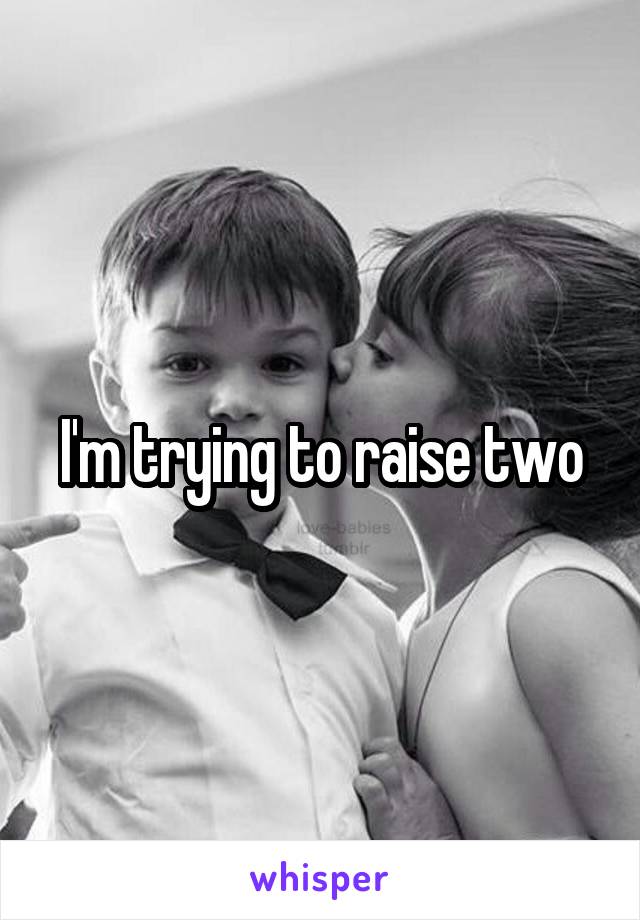 I'm trying to raise two