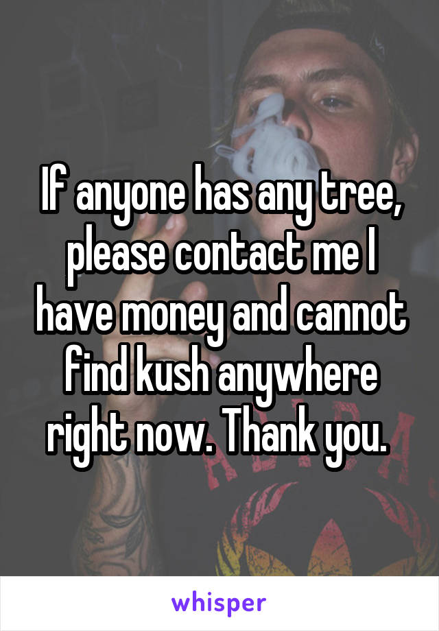 If anyone has any tree, please contact me I have money and cannot find kush anywhere right now. Thank you. 