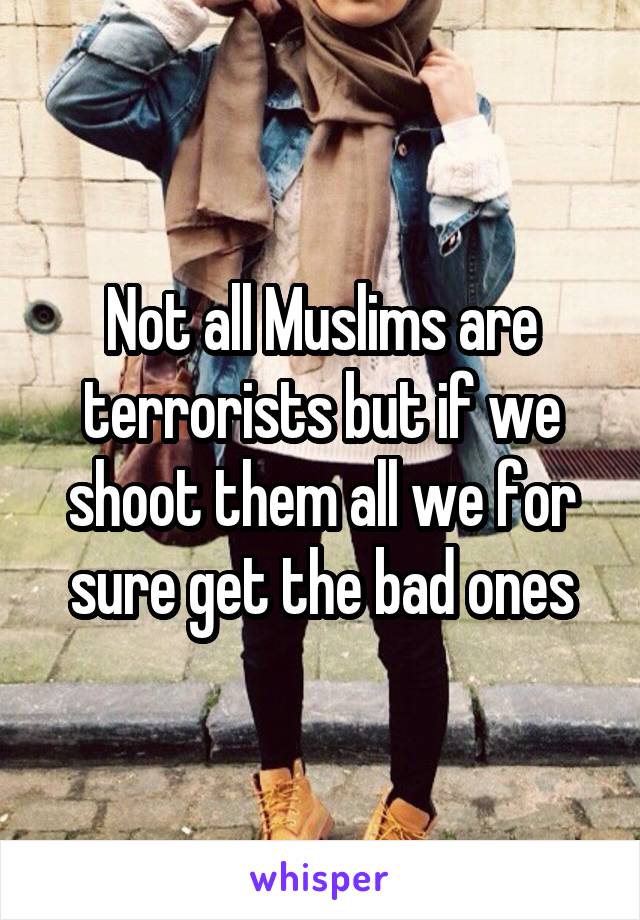 Not all Muslims are terrorists but if we shoot them all we for sure get the bad ones