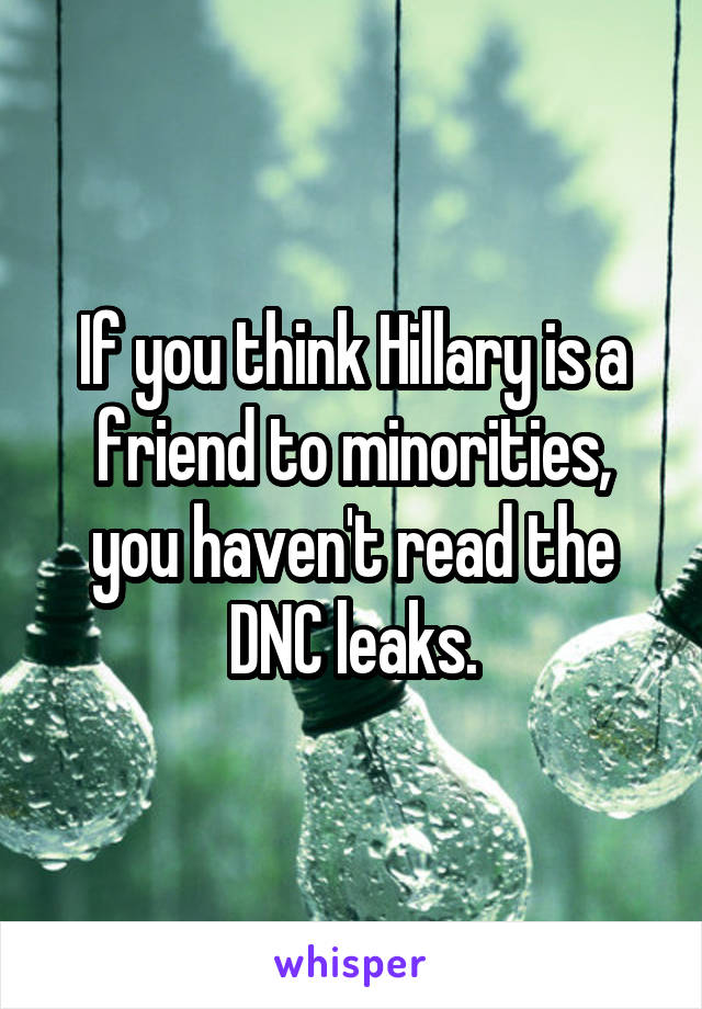 If you think Hillary is a friend to minorities, you haven't read the DNC leaks.