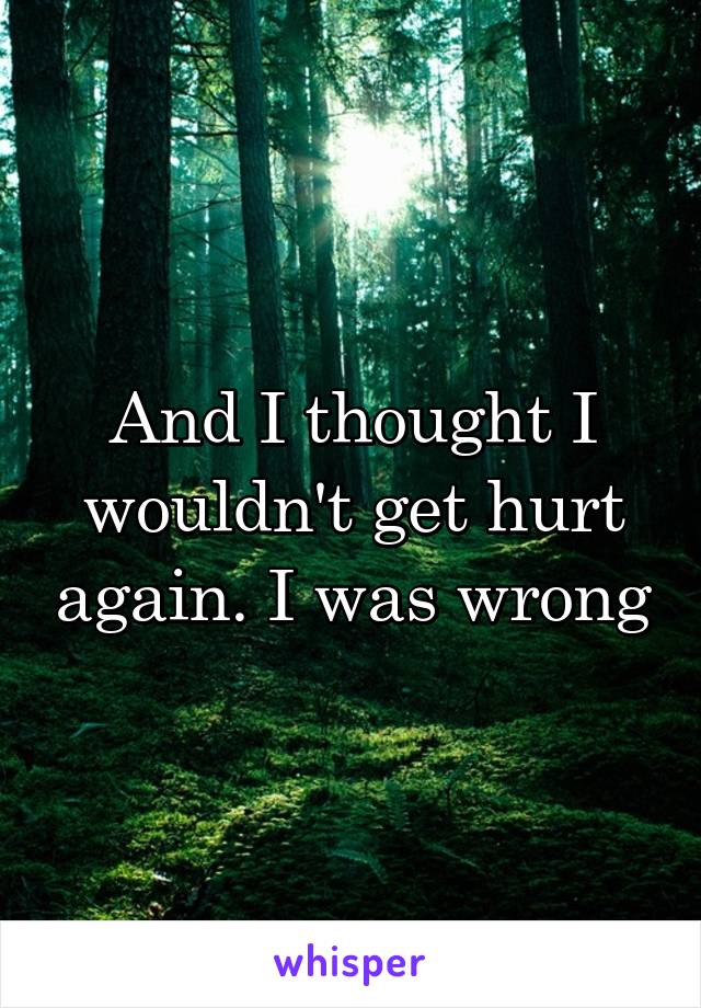 And I thought I wouldn't get hurt again. I was wrong