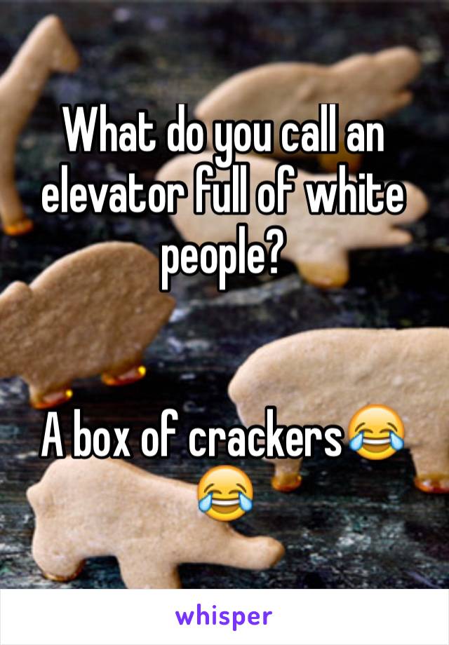 What do you call an elevator full of white people?


A box of crackers😂😂