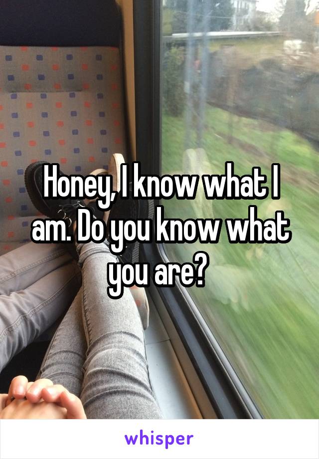 Honey, I know what I am. Do you know what you are? 
