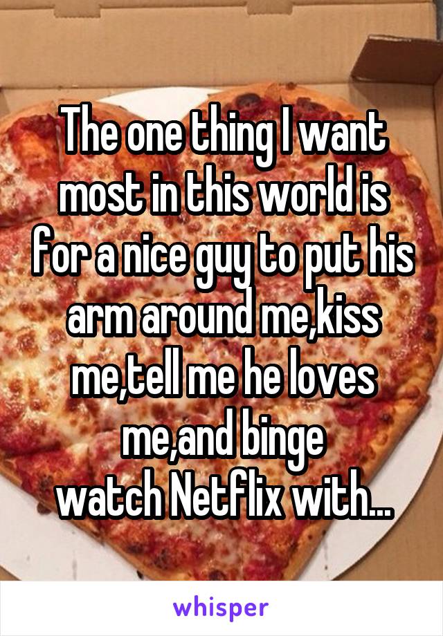 The one thing I want most in this world is for a nice guy to put his arm around me,kiss me,tell me he loves me,and binge
watch Netflix with...