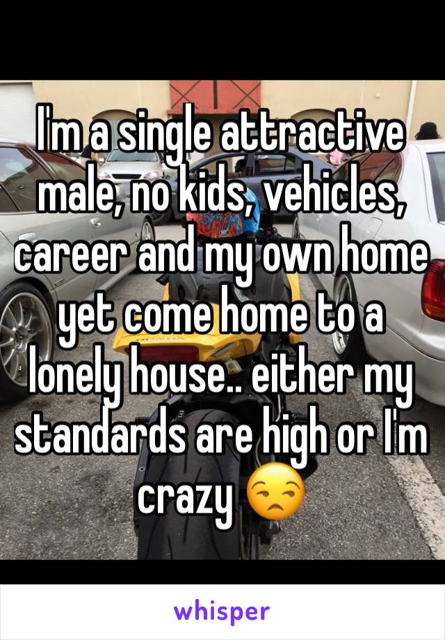I'm a single attractive male, no kids, vehicles, career and my own home yet come home to a lonely house.. either my standards are high or I'm crazy 😒