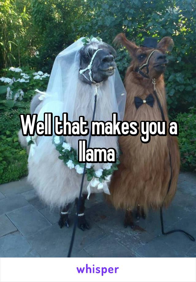 Well that makes you a llama 