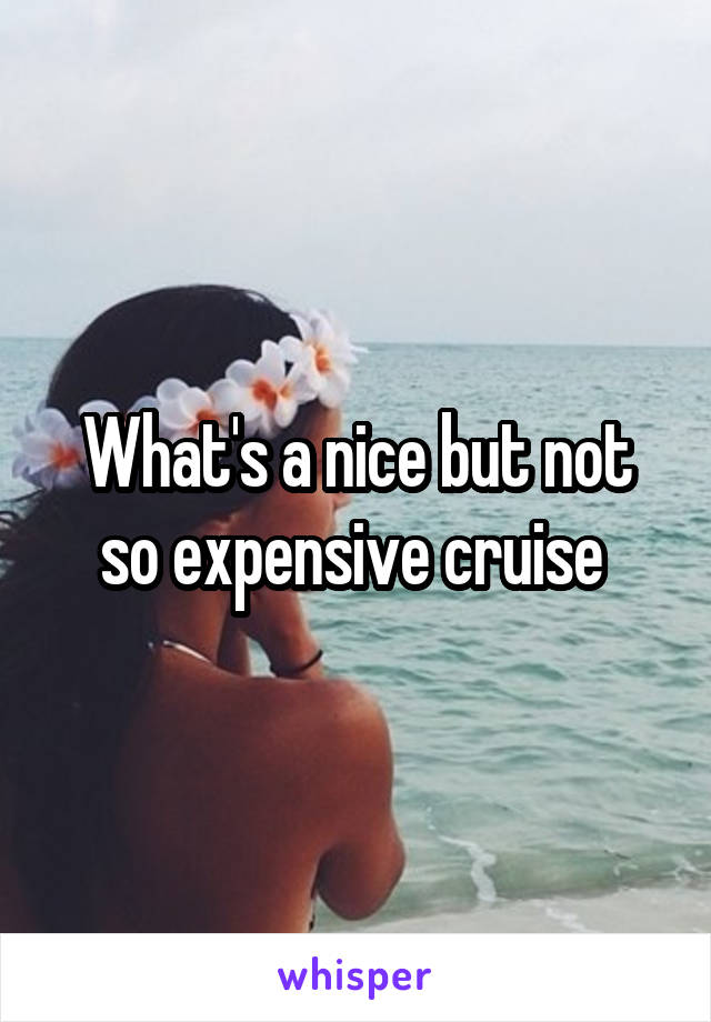 What's a nice but not so expensive cruise 