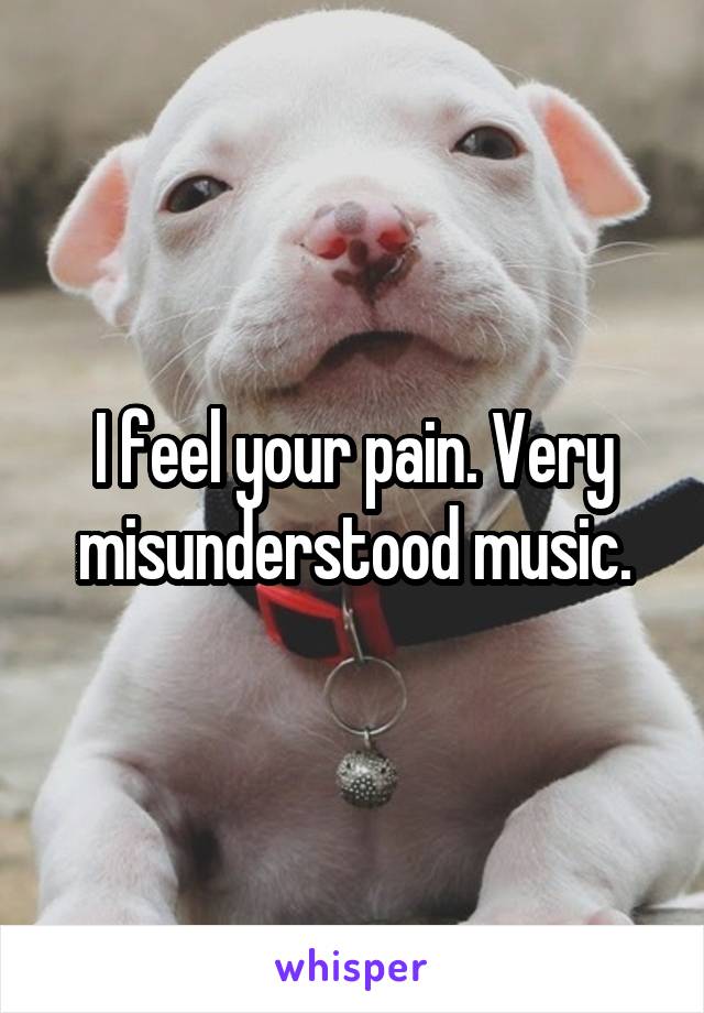 I feel your pain. Very misunderstood music.