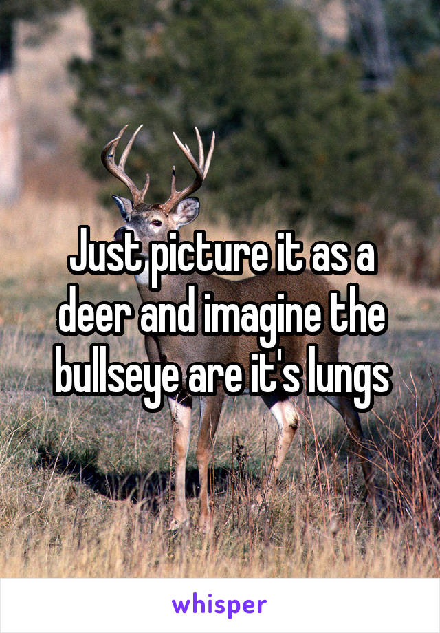 Just picture it as a deer and imagine the bullseye are it's lungs